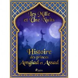Histoire des princes Amgiad et Assad