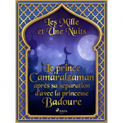 Le prince Camaralzaman après sa séparation d'avec la princesse Badoure