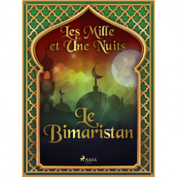 Le Bimaristan