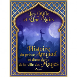 Histoire du prince Amgiad et d’une dame de la ville des Mages