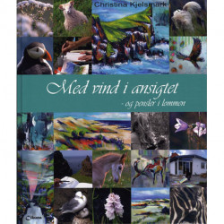 Med vind i ansigtet - og pensler i lommen