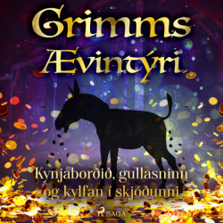 Kynjaborðið, gullasninn og kylfan í skjóðunni