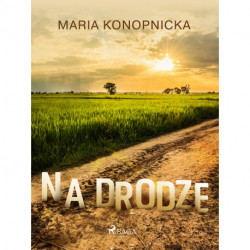 Na drodze