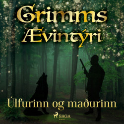 Úlfurinn og maðurinn