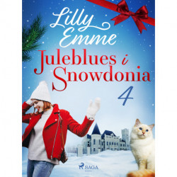 Juleblues i Snowdonia: 4