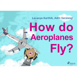 How do Aeroplanes Fly?