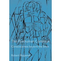 The Posthuman Condition: Consciousness Beyond the Brain