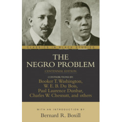 The Negro Problem