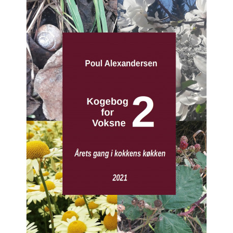 Kogebog for voksne 2: Årets gang i kokkens køkken