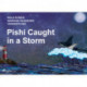 Pishi Caught in a Storm