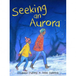 Seeking an Aurora