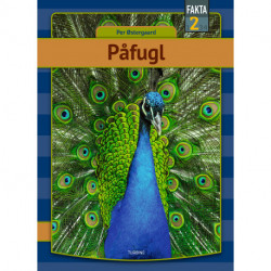 Påfugl