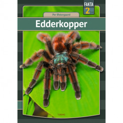 Edderkopper