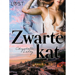 Zwarte kat – Erotisch verhaal