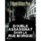 Double Assassinat dans la rue Morgue