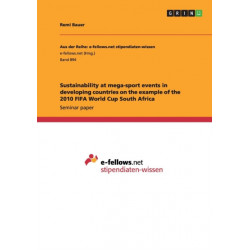 Sustainability at mega-sport events in developing countries on the example of the 2010 FIFA World Cup South Africa
