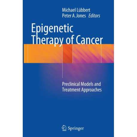 Epigenetic Therapy of Cancer: Preclinical Models and Treatment Approaches