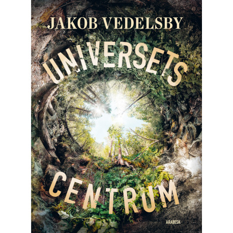 Universets centrum