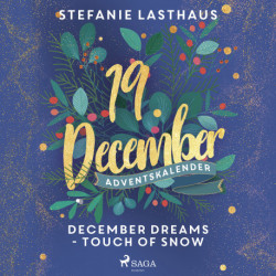 December Dreams - Touch of Snow