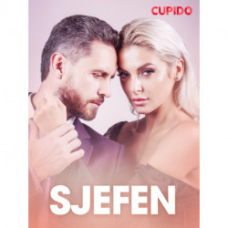 Sjefen - erotiske noveller
