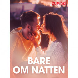 Bare om natten – erotiske noveller