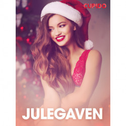 Julegaven - erotiske noveller