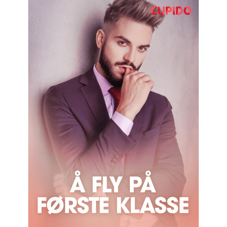 Å fly på første klasse – erotiske noveller