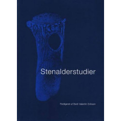 Stenalderstudier: Tidligt mesolitiske jægere og samlere i Sydskandinavien