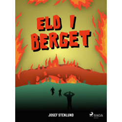 Eld i berget