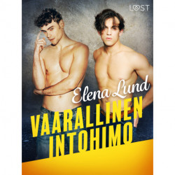 Vaarallinen intohimo - eroottinen novelli