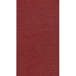 Den Danske Salmebog - Ritualbog og alterbog