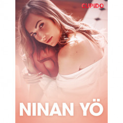 Ninan yö – eroottinen novelli