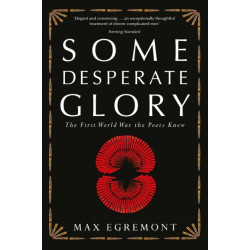 Some Desperate Glory: The First World War the Poets Knew
