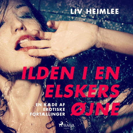 Ilden i en elskers øjne – en kæde af erotiske fortællinger