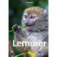 Lemurer