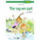 Tor og en pyt