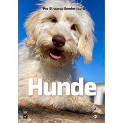 Hunde
