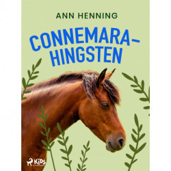 Connemarahingsten