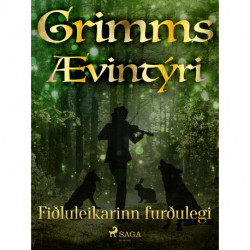 Fiðluleikarinn furðulegi