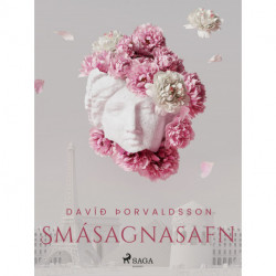 Smásagnasafn: Davíð Þorvaldsson