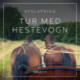 Tur med hestevogn