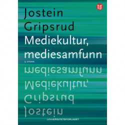 Mediekultur, mediesamfunn