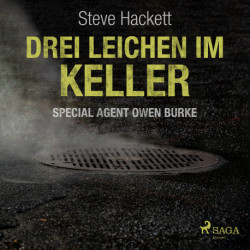 Drei Leichen im Keller (Special Agent Owen Burke)