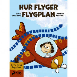 Hur flyger flygplan