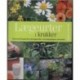 Lægeurter i krukker: Krydderurter og planter med medicinsk virkning