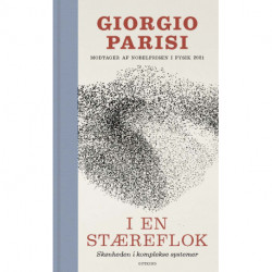 I en stæreflok: Skønheden i komplekse systemer