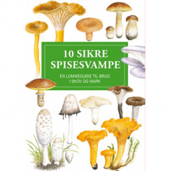 10 sikre spisesvampe