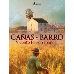 Cañas y barro