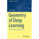 Geometry of Deep Learning: A Signal Processing Perspective