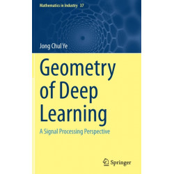 Geometry of Deep Learning: A Signal Processing Perspective
